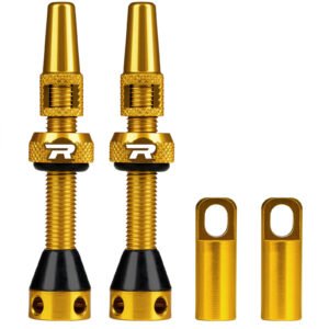Roadup Tubeless Valve Stem Gold