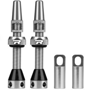 Roadup Tubeless Valve Stem Silver